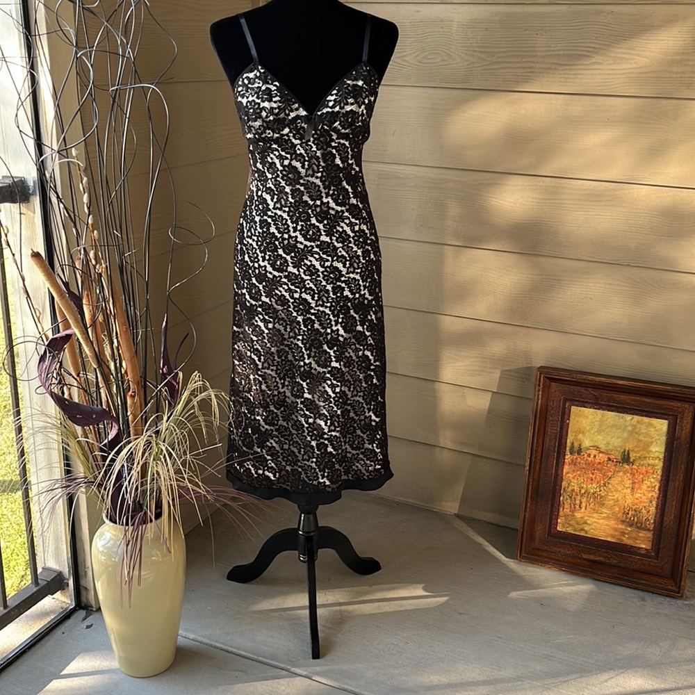 Rebecca Taylor Sleeveless Floral Lace overlay Fit & Flare Silhouette. Preowned